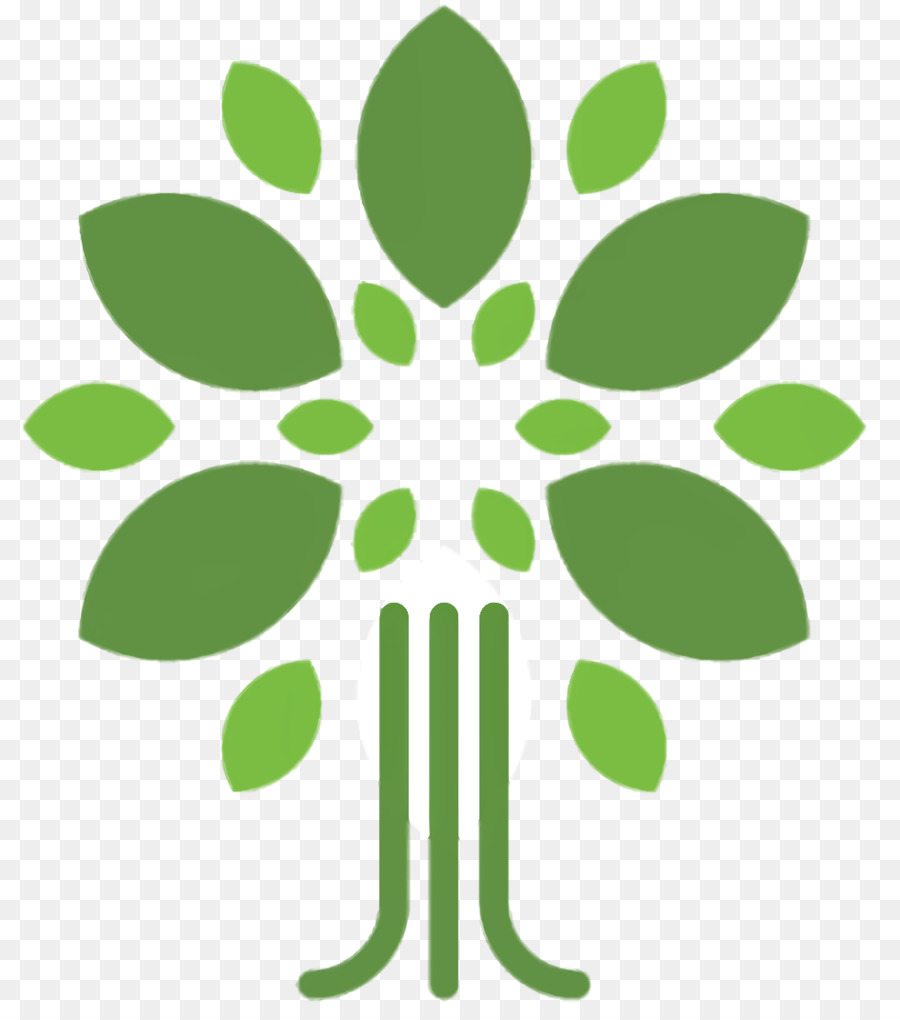 مدرسة الغابات，شعار PNG