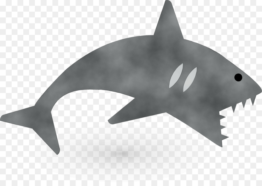 القرش，زاوية PNG