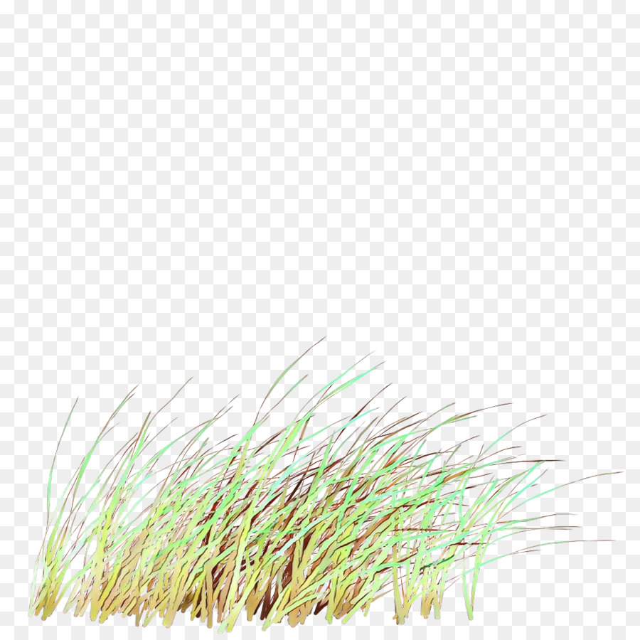 العشب，الأعشاب PNG