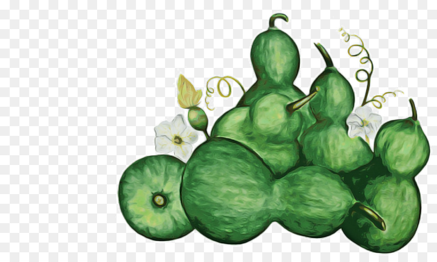 البطيخ，القرعيات PNG