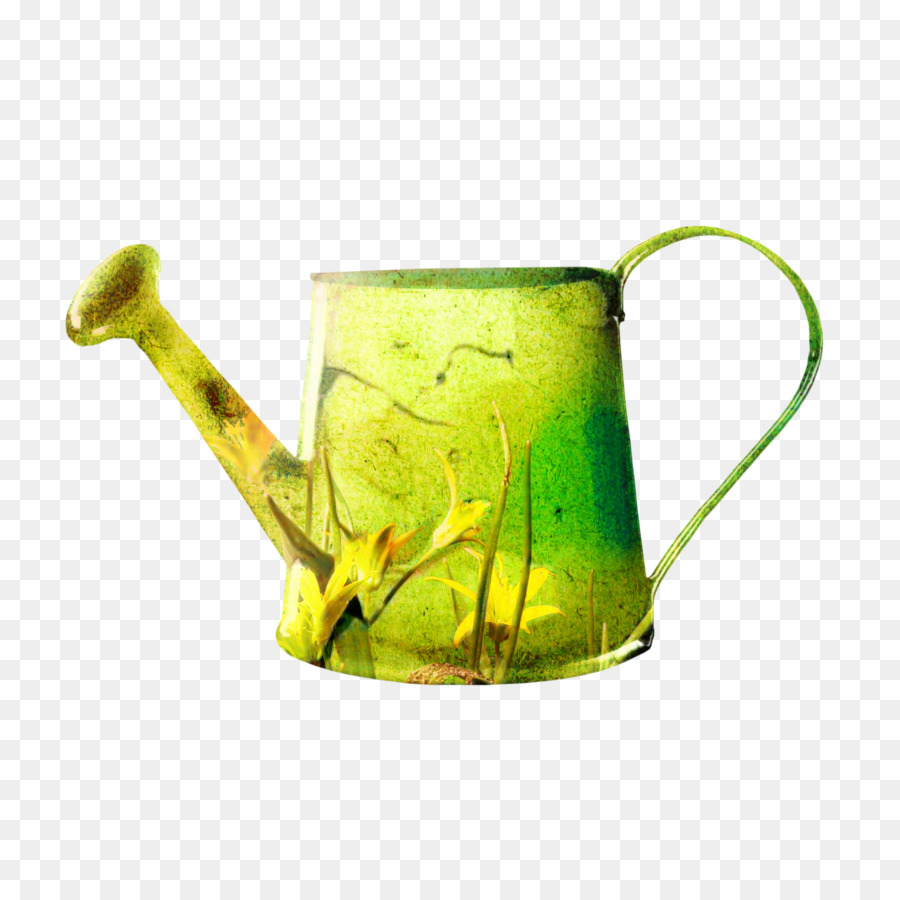 كأس，الأخضر PNG