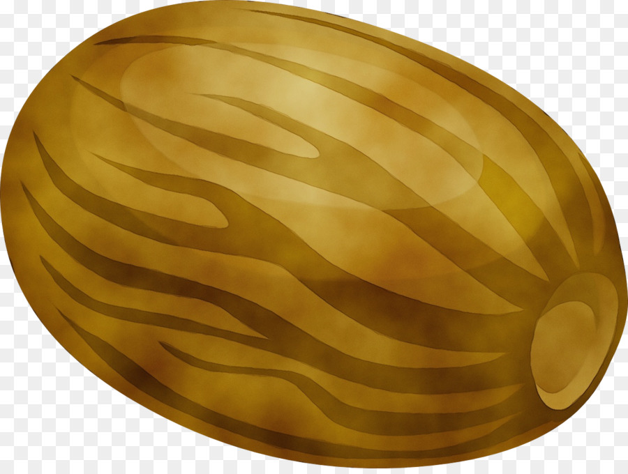 Nautilusesات，النحاس PNG