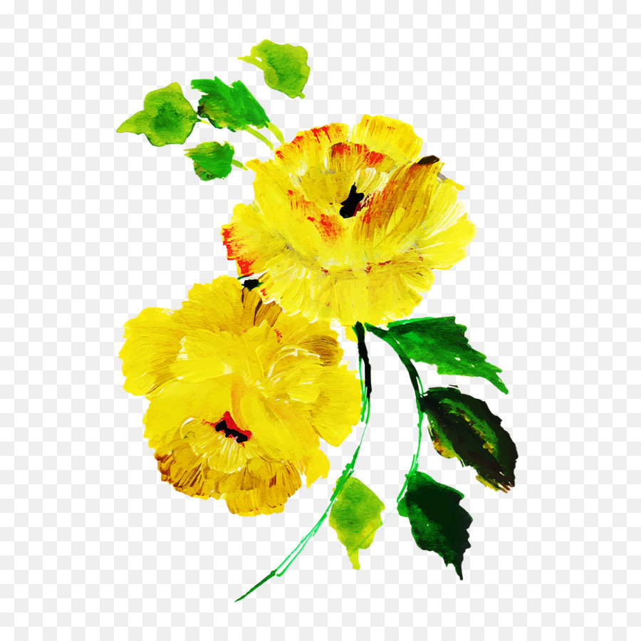 تصميم الأزهار，الرسم بالألوان المائية PNG