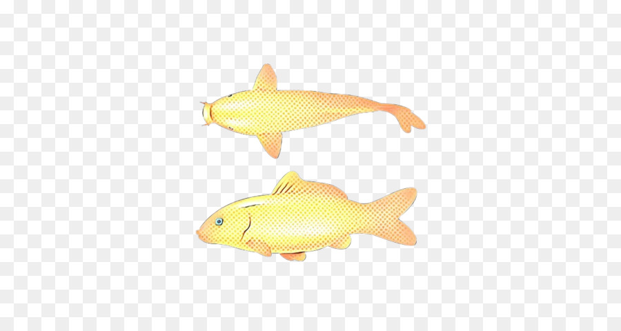 ذهبية，تغذية الأسماك PNG