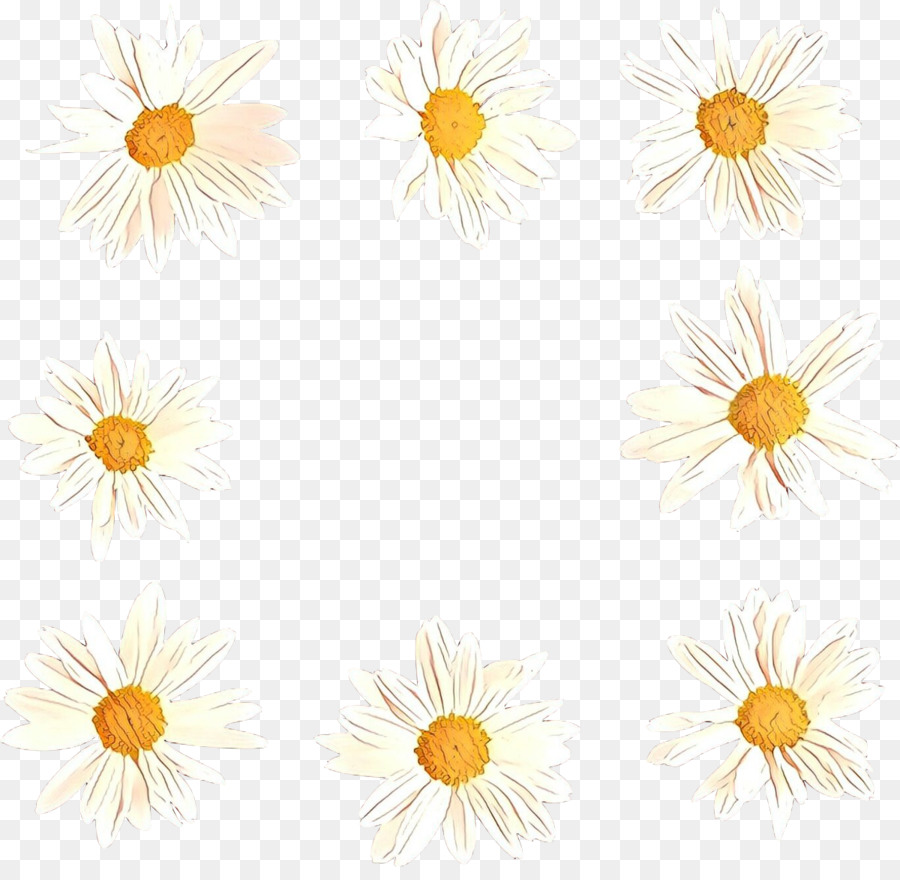 Oxeye ديزي，أقحوان PNG