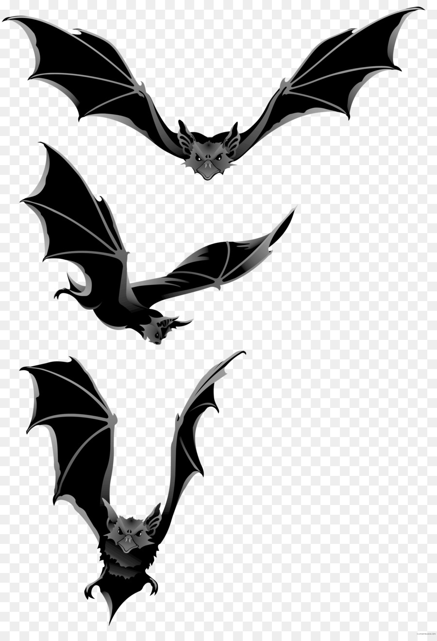الخفافيش，الخفافيش الطيران PNG