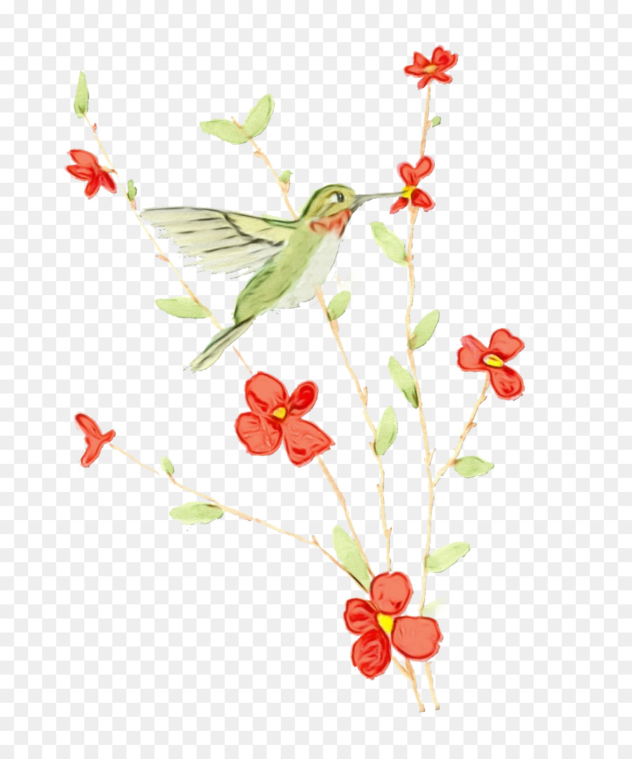 تصميم الأزهار，الطائر الطنان PNG