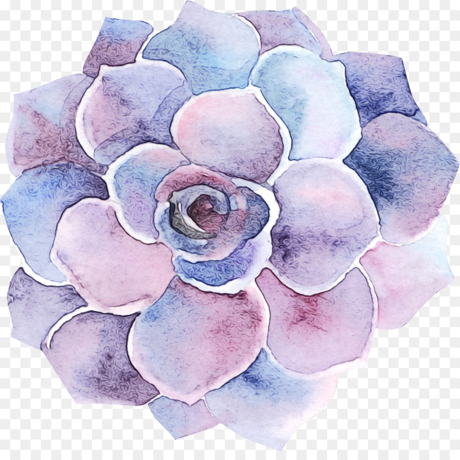 الرسم بالألوان المائية，قطع الزهور PNG