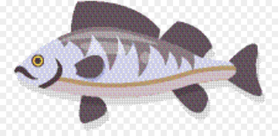 الأسماك，Bonyfish PNG