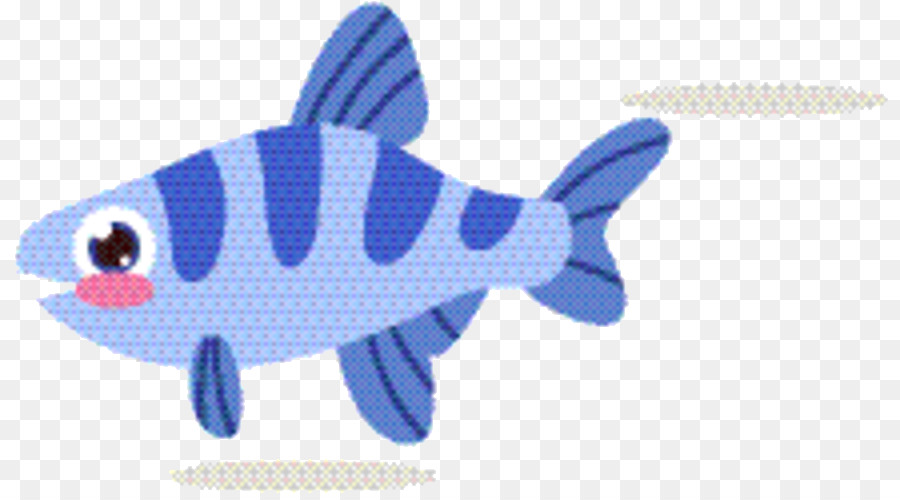 الأسماك الغضروفية，الأسماك PNG