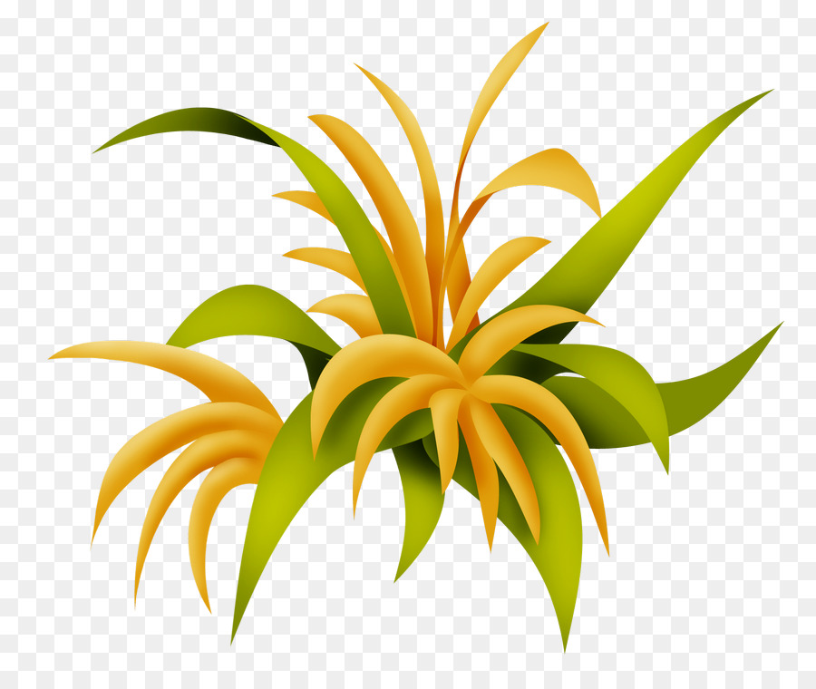 البتلة，الجذعية النباتية PNG