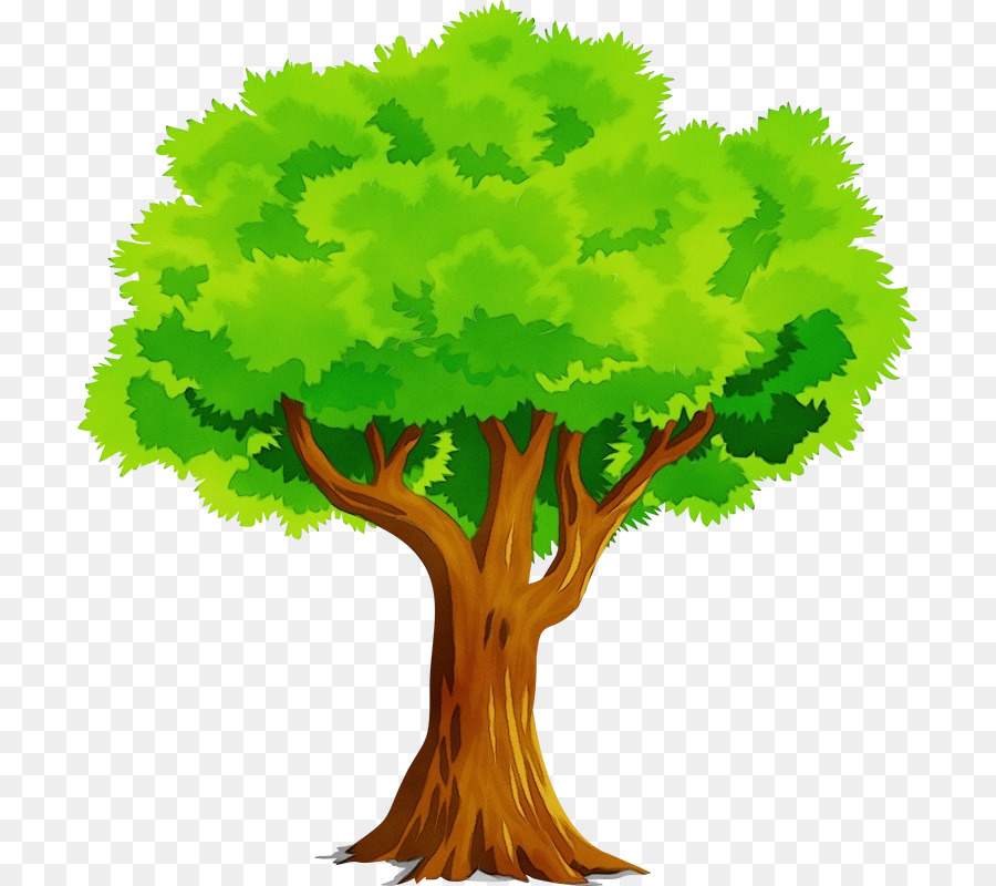 شجرة，زراعة الأشجار PNG