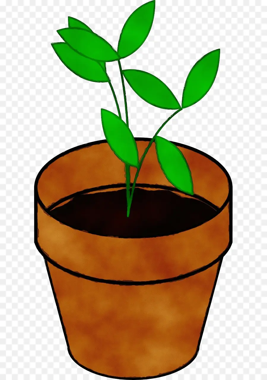 النباتات，الرسم PNG