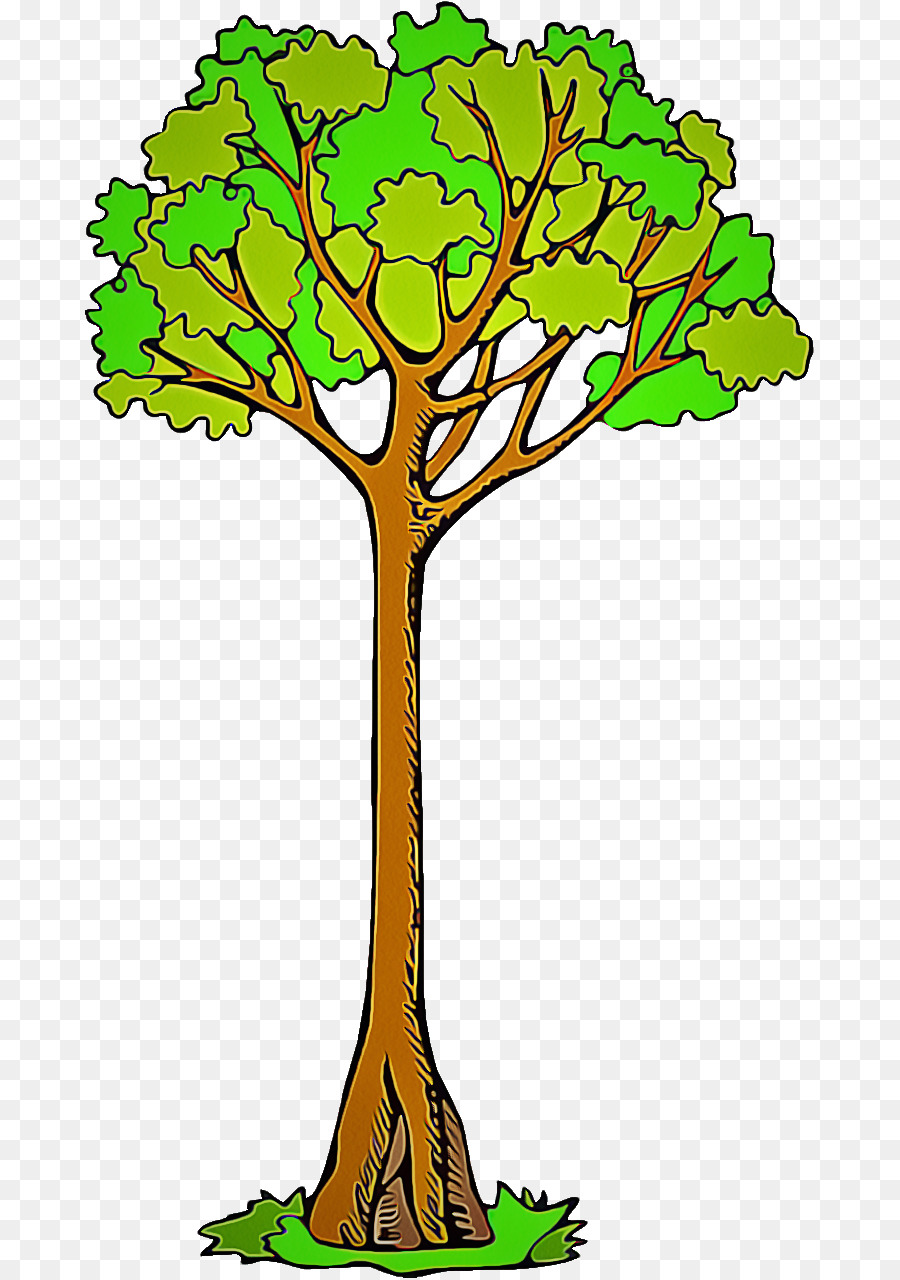 شجرة，أخضر PNG