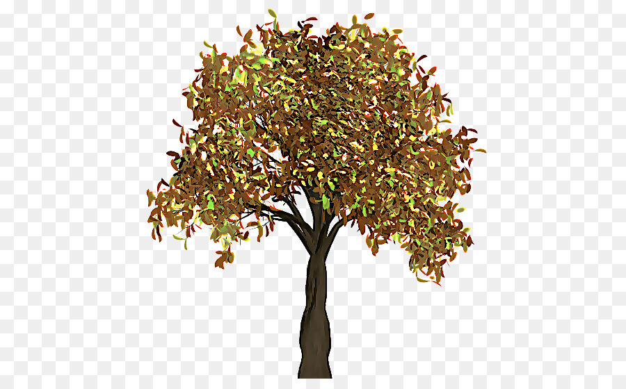 شجرة，نبات PNG