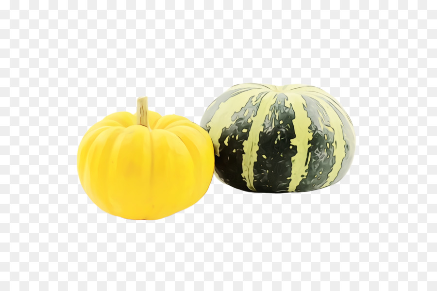 يقطين，Cucurbita PNG