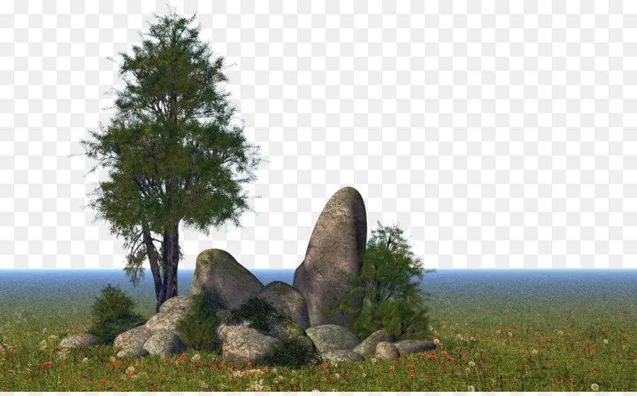 الطبيعة，شجرة PNG
