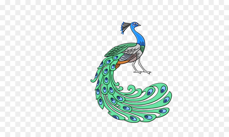 طاووس，ريشة PNG
