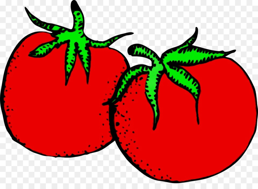 طماطم，سولانوم PNG