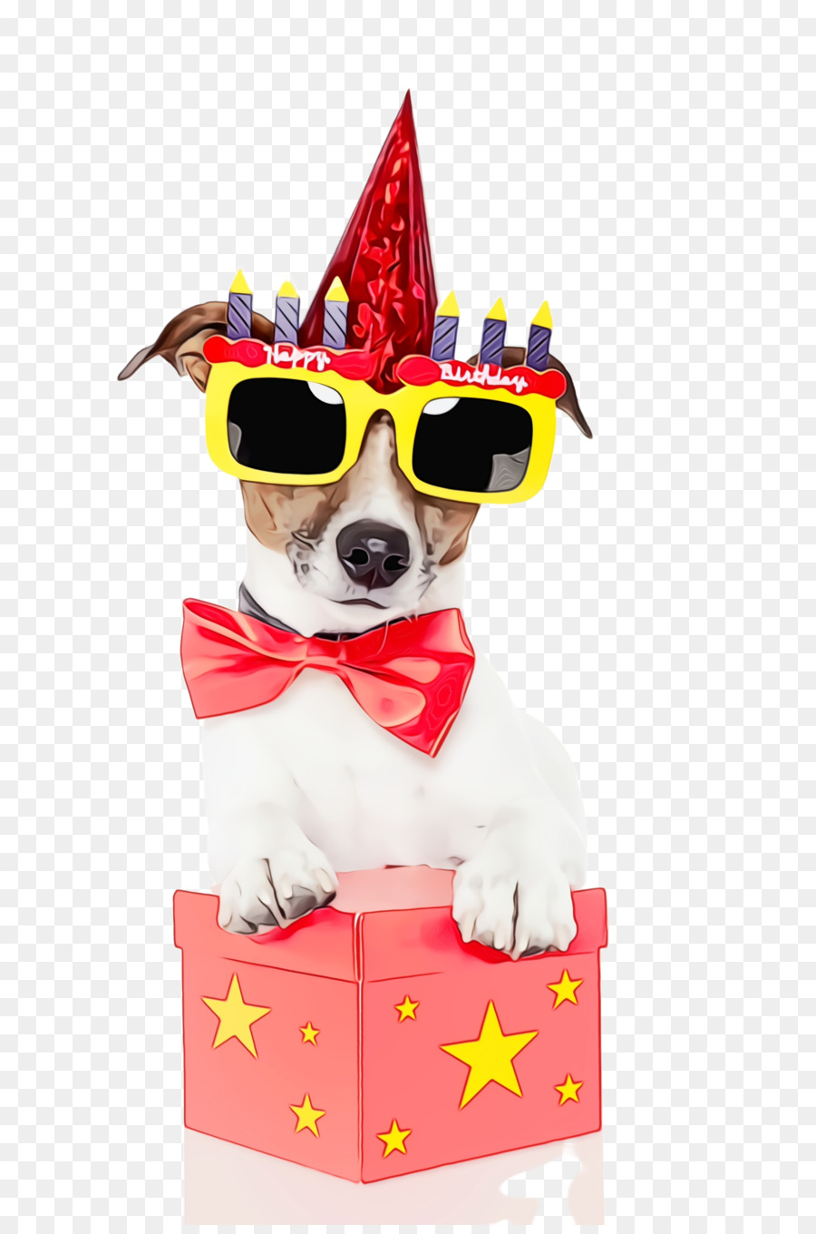 كلب，حفلة قبعات PNG