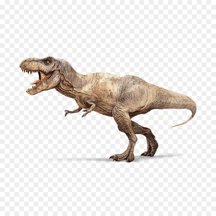 ديناصور，Tyrannosaurus PNG