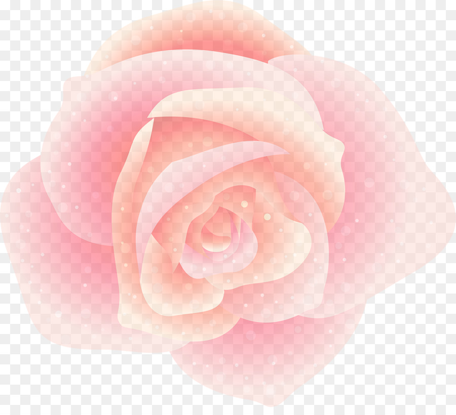 الوردي，حديقة الورود PNG