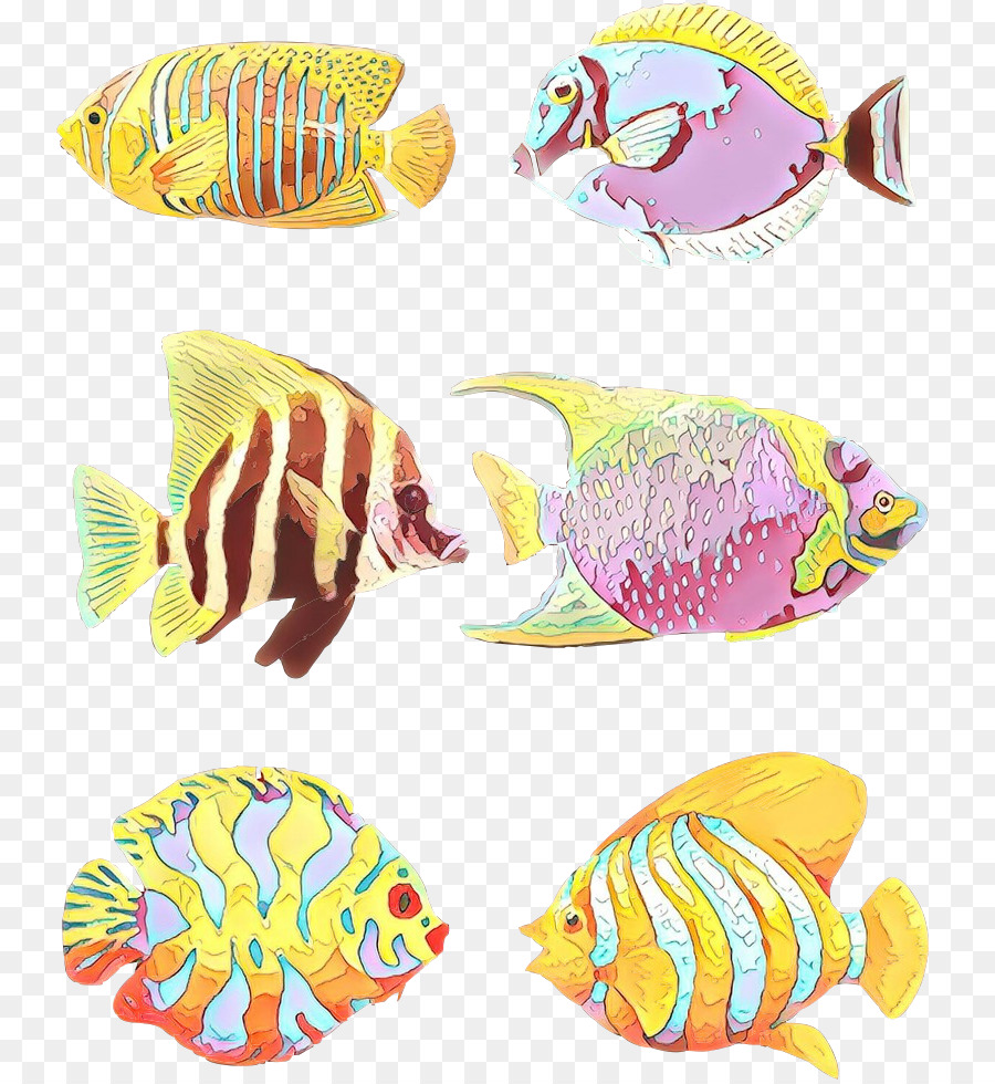 الحيوان الرقم，الأسماك PNG