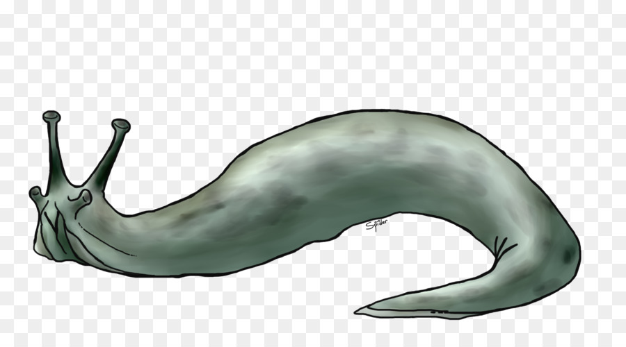 الثدييات البحرية，الحوت الأزرق PNG