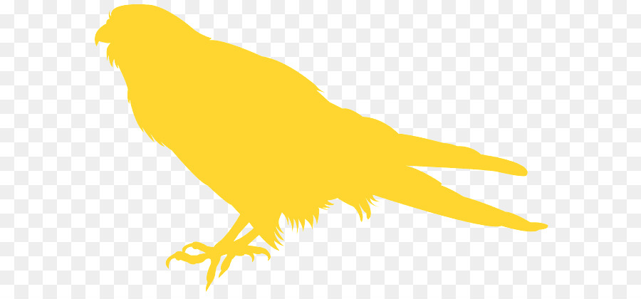 الطيور，الأصفر PNG