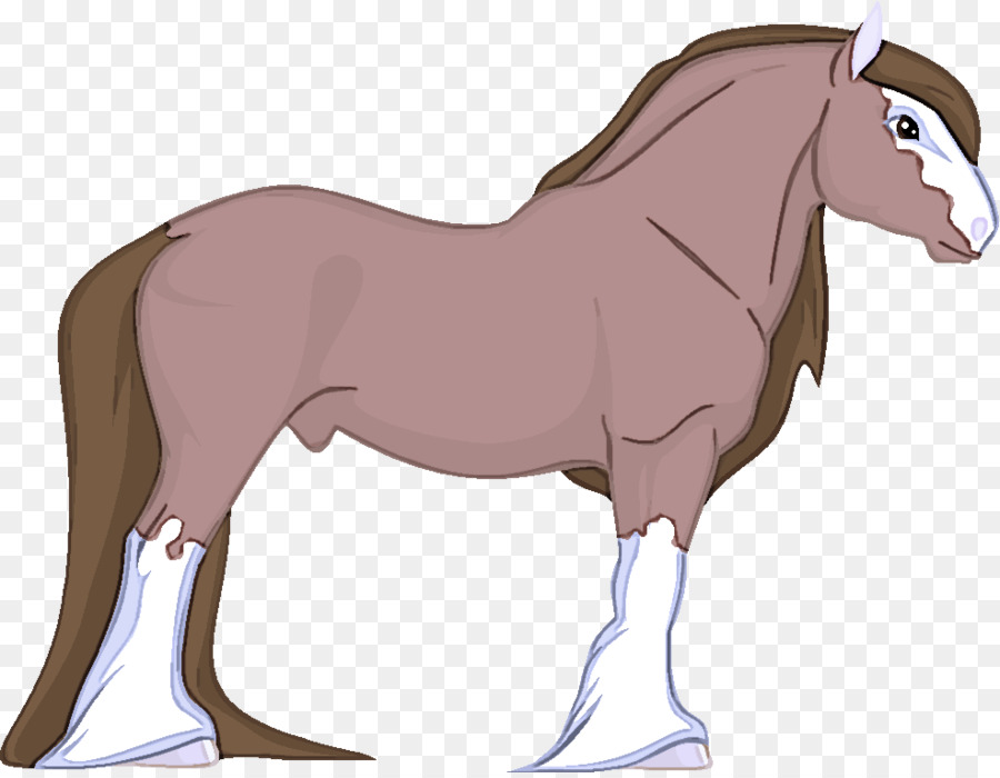 الحصان，شيتلاند PNG