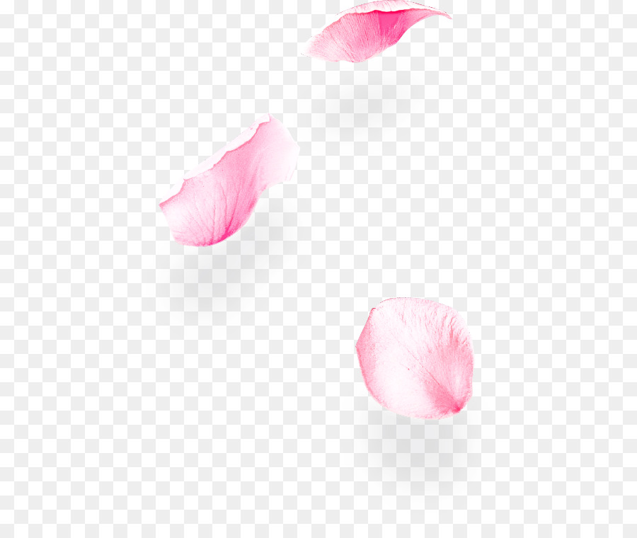 البتلة，الوردي PNG