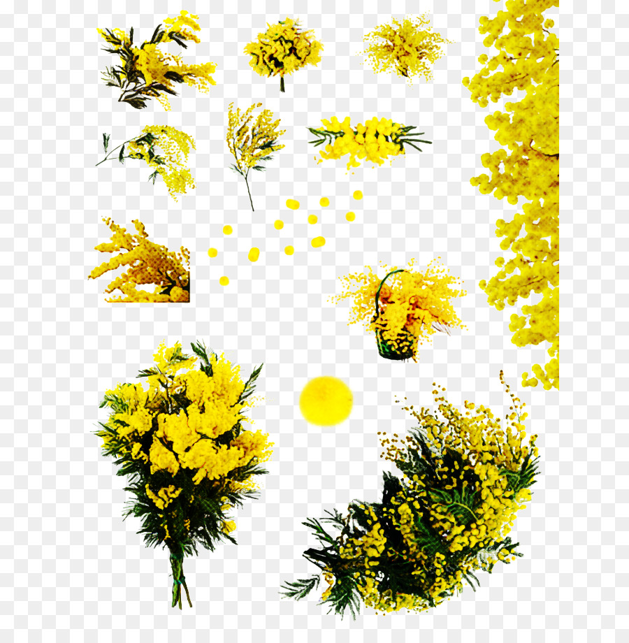 الأصفر，زهرة PNG