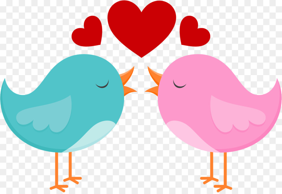 الحب，الطيور PNG