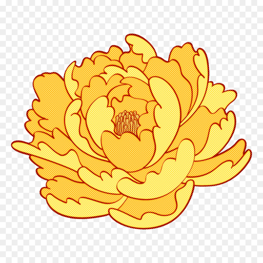 الأصفر，زهرة PNG