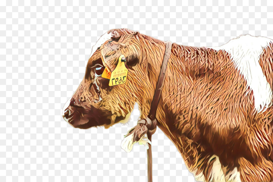البقري，خطم PNG