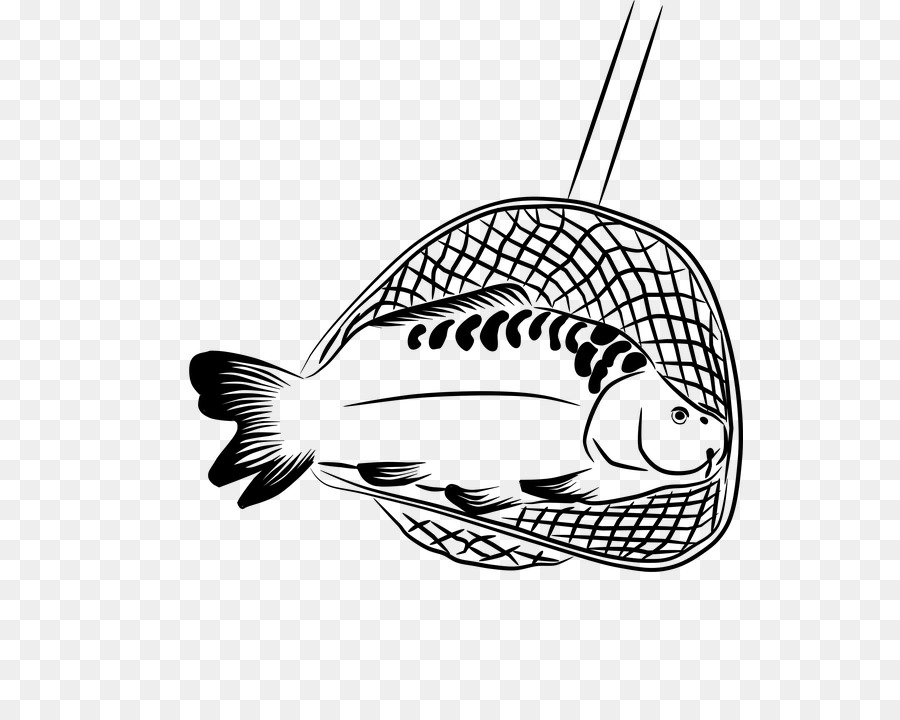 الأسماك，فن الخط ، PNG