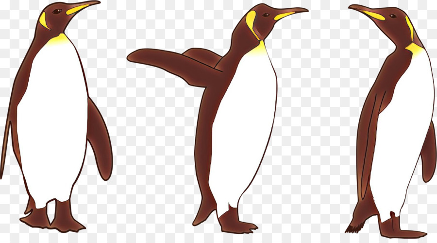 الطيور，البطريق PNG