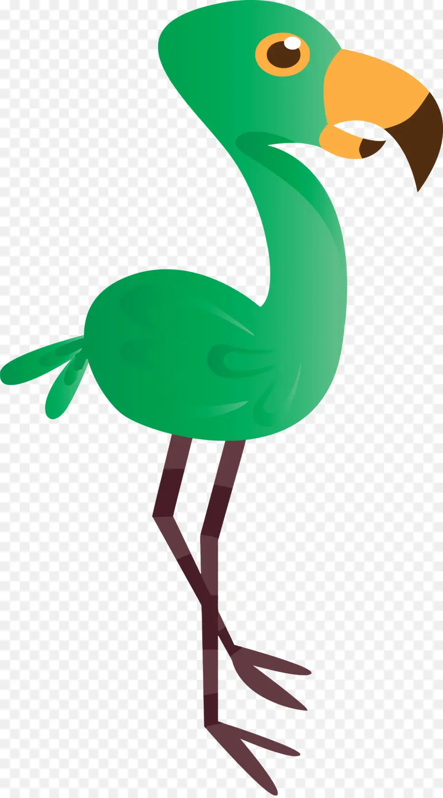 الطيور，الأخضر PNG