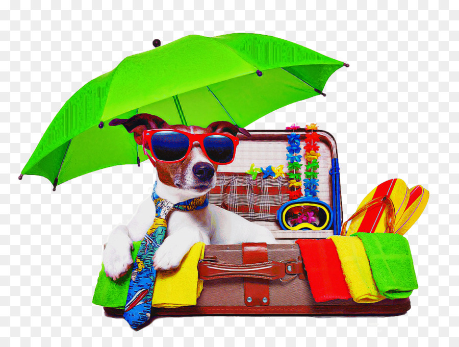 مظلة，الكلب PNG