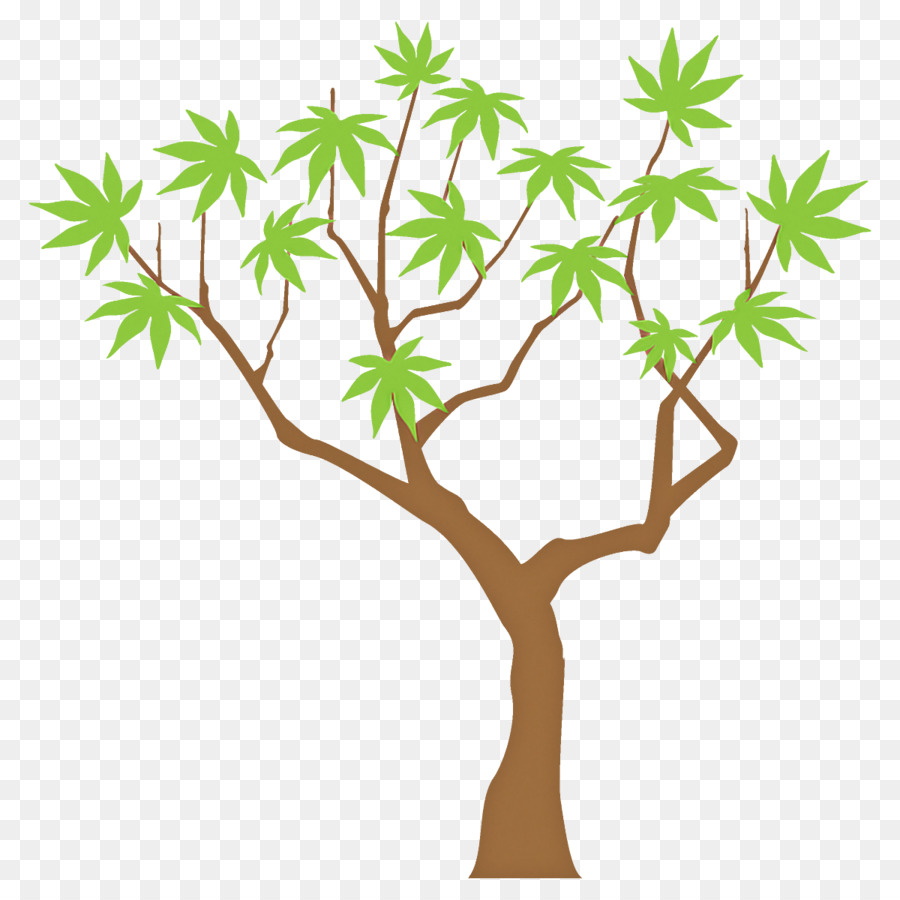 شجرة，ورقة PNG