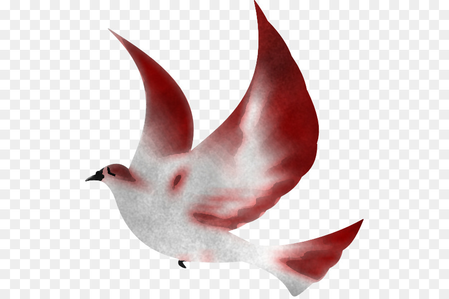 الأحمر，الطيور PNG