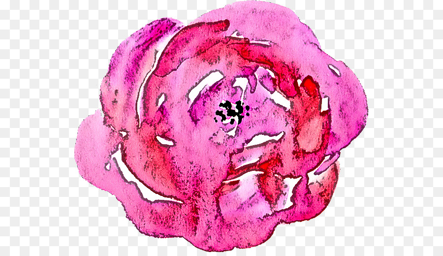 الوردي，الملفوف PNG