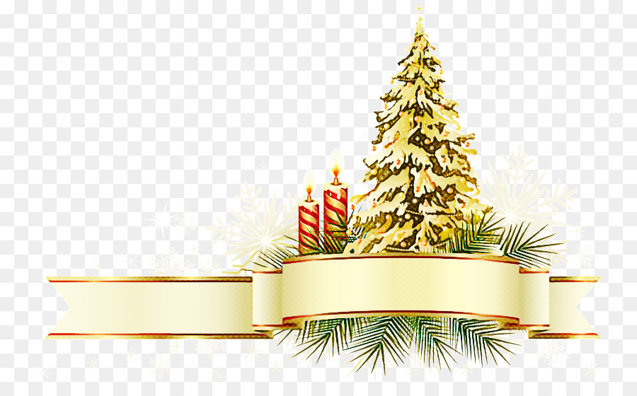 كولورادو شجرة التنوب，شجرة عيد الميلاد PNG