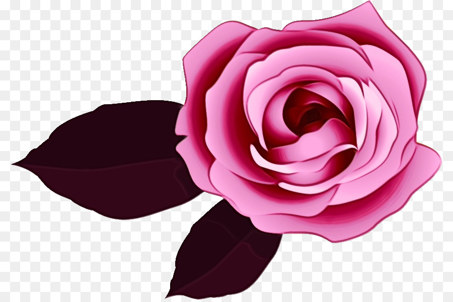 حديقة الورود，الوردي PNG