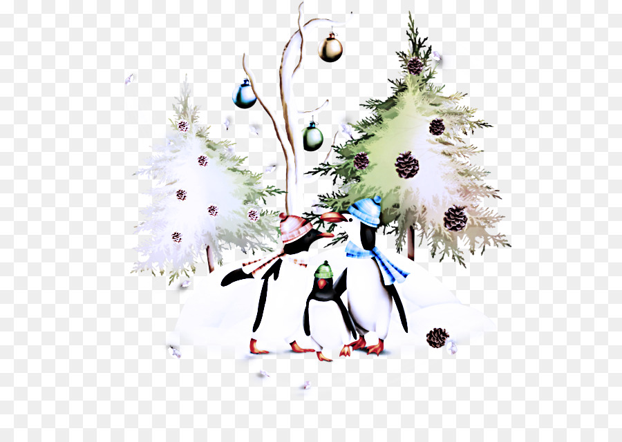 كولورادو شجرة التنوب，شجرة عيد الميلاد PNG