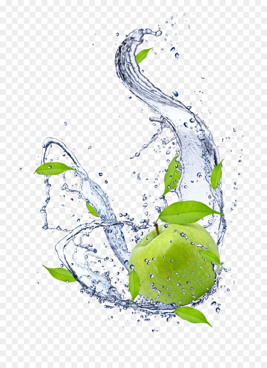 ماء，نبات PNG
