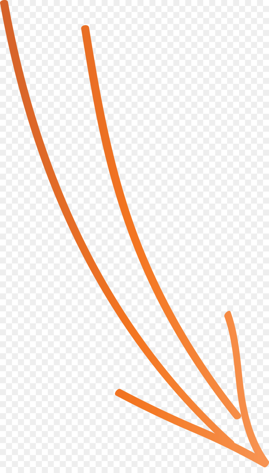 البرتقال，خط PNG