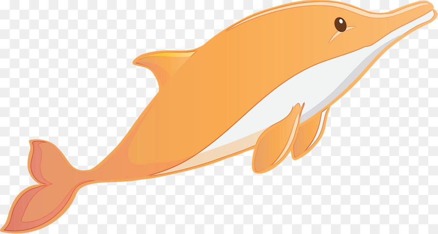 الأسماك，البرتقال PNG