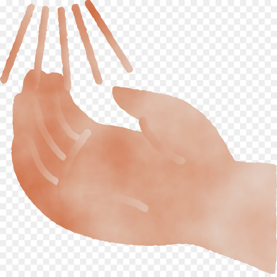 اليد，الأنف PNG
