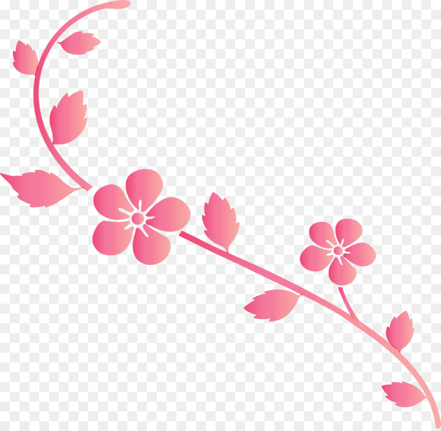 الوردي，زهرة PNG